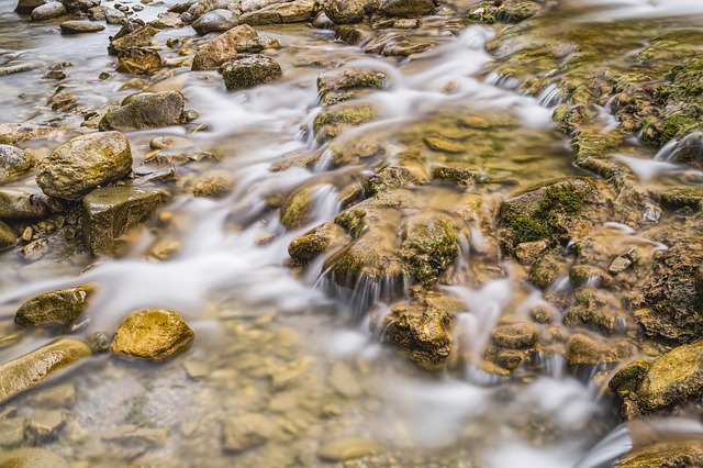 Image by O12 from Pixabay