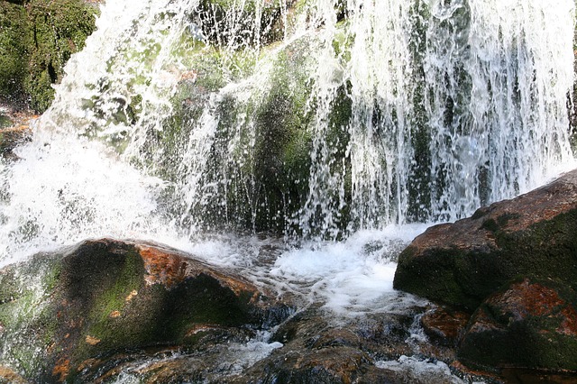 Image by Lothar Wandtner from Pixabay