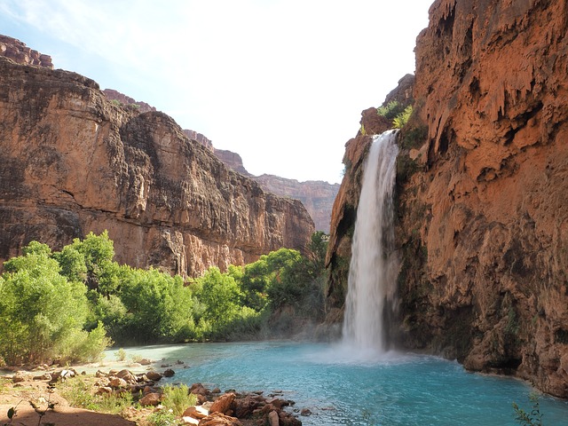 Image by Marla Schulz from Pixabay