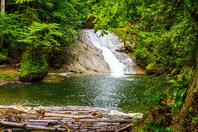 Image by Tommy_Rau from Pixabay