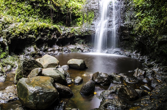 Image by patrick brush from Pixabay