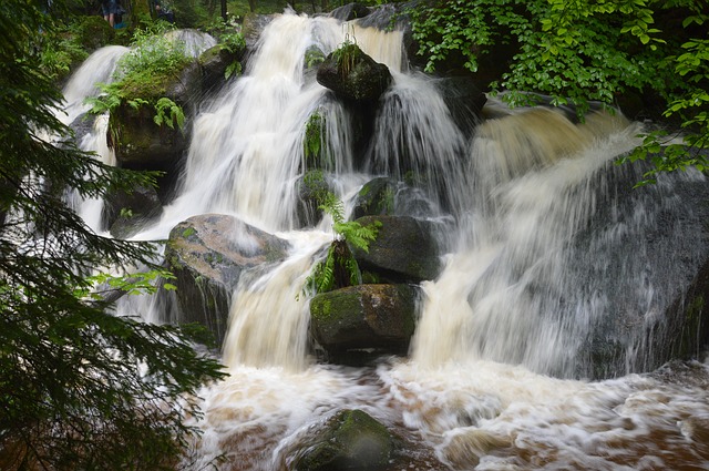 Image by Jonathan Reichel from Pixabay