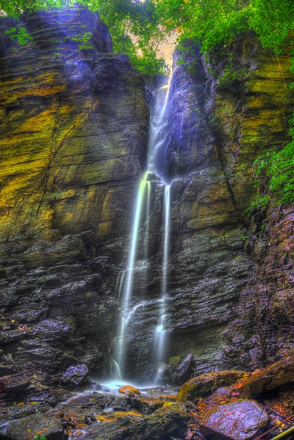 Image by Arnab Sharma from Pixabay