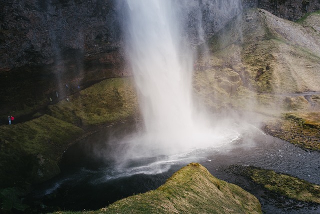 Image by StockSnap from Pixabay