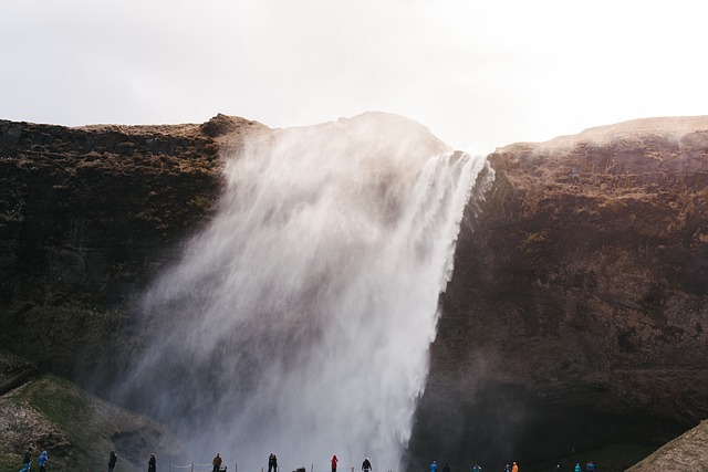 Image by StockSnap from Pixabay