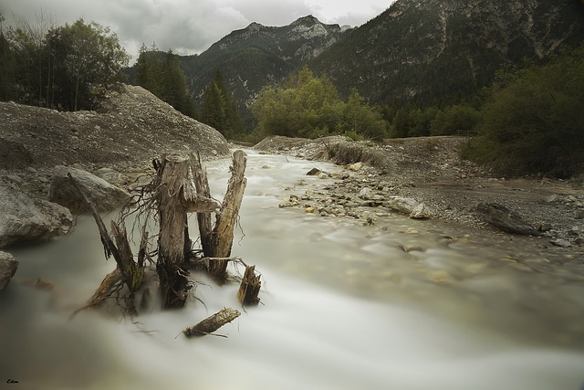 Image by Daniel Mariani from Pixabay