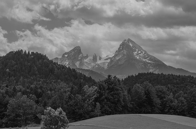 Image by Gitti Lohr from Pixabay