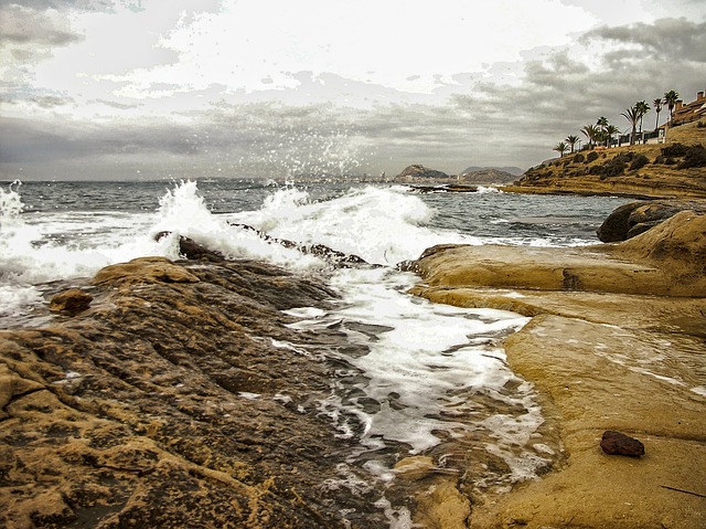 Image by FERNANDO JOSE GARCIA MAESTRE from Pixabay