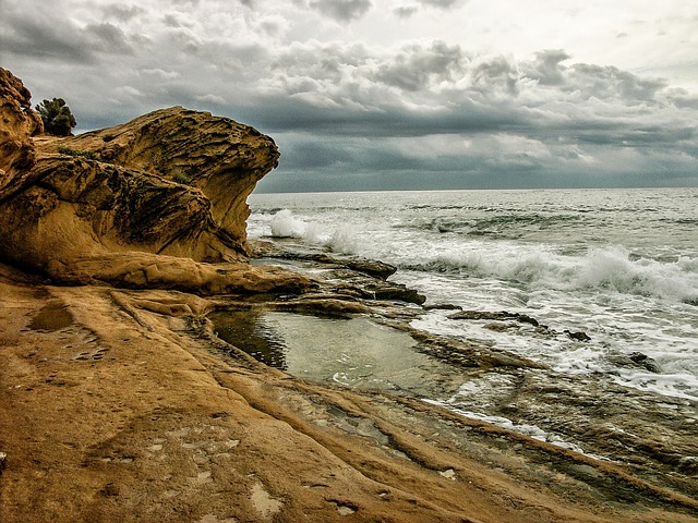 Image by FERNANDO JOSE GARCIA MAESTRE from Pixabay
