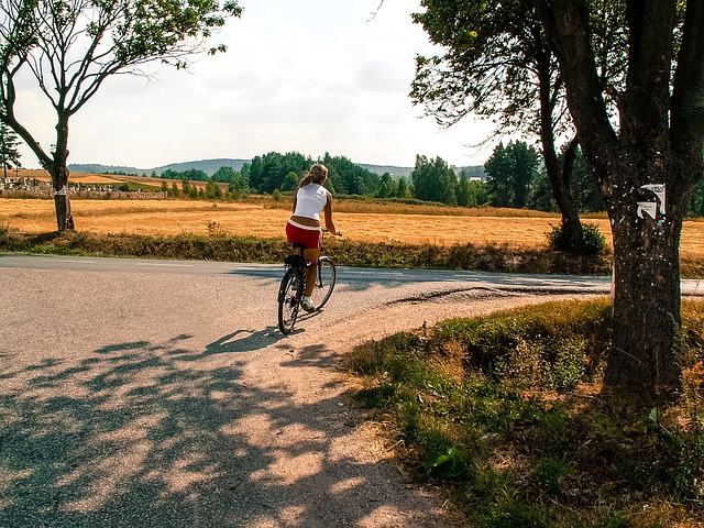 Image by TOM KLAMCZYŃSKI from Pixabay