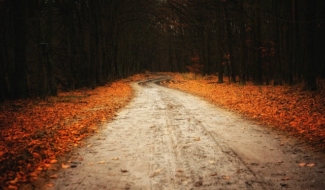 Image by jwvein from Pixabay