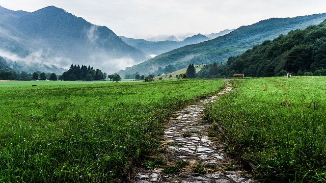 Image by Free-Photos from Pixabay