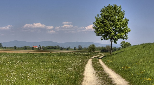 Image by Robert Fischer from Pixabay
