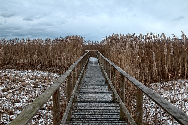 Image by Bernfried Schnell from Pixabay