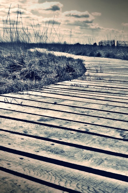 Image by TanteTati from Pixabay