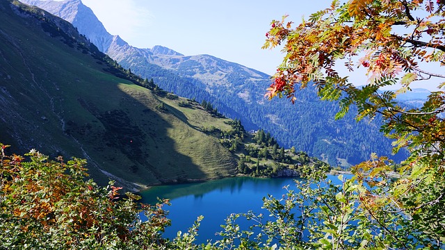 Image by Andreas Schur from Pixabay