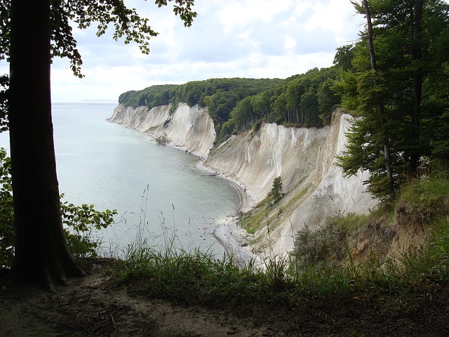 Image by FlyerBine from Pixabay