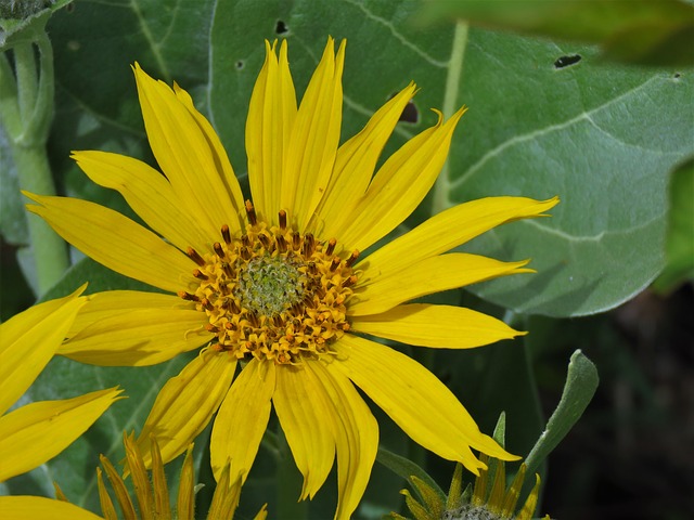 Image by GeorgeB2 from Pixabay