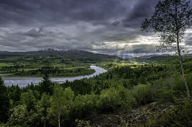 Image by trajaner from Pixabay