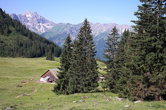 Image by Hans Braxmeier from Pixabay