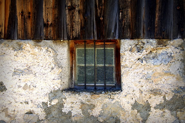 Image by PIRO4D from Pixabay