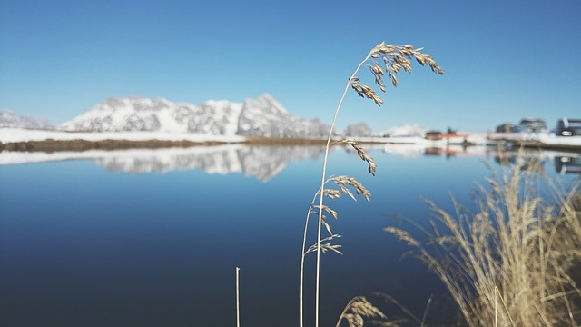 Image by Valentin Schönpos from Pixabay