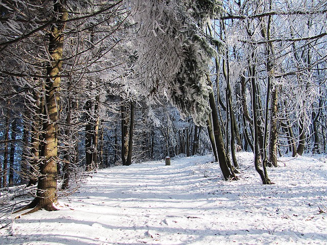 Image by Krzysztof Jaracz from Pixabay