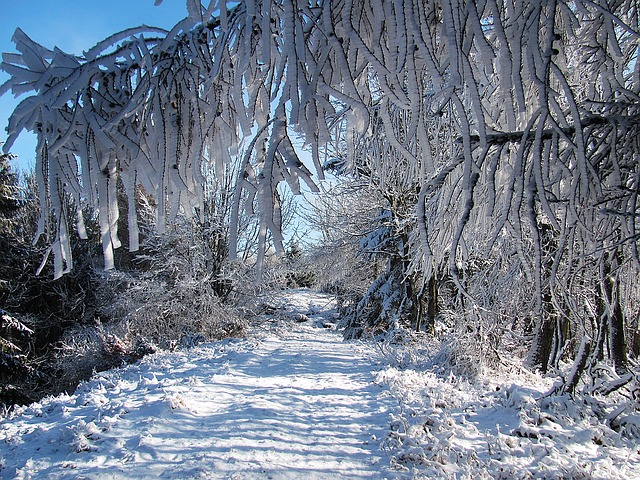 Image by Krzysztof Jaracz from Pixabay
