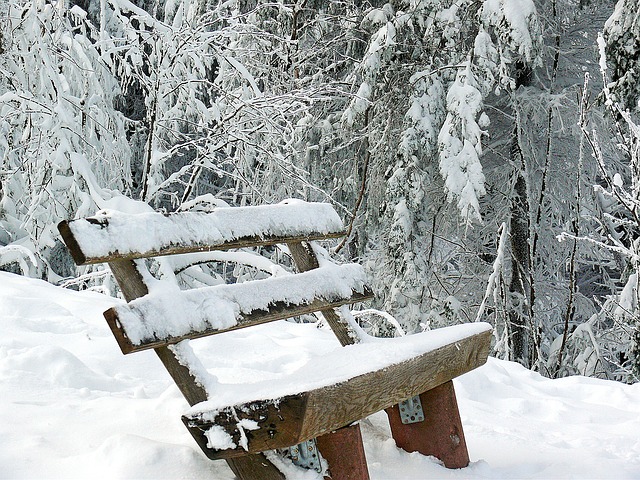 Image by moritz320 from Pixabay