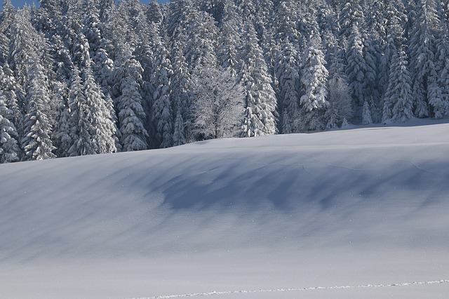 Image by Bernfried Schnell from Pixabay