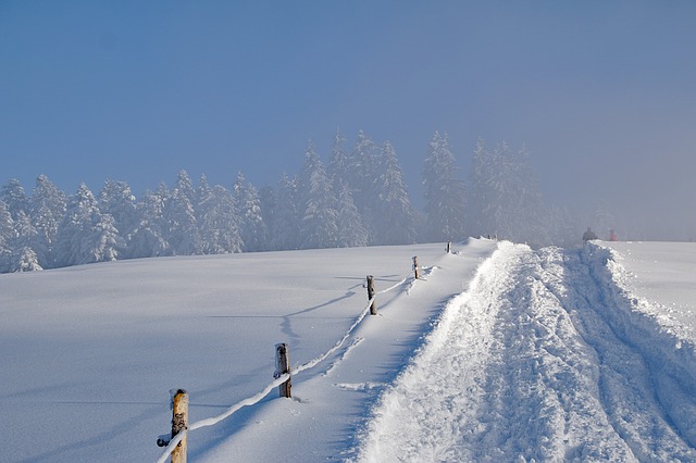 Image by Bernfried Schnell from Pixabay