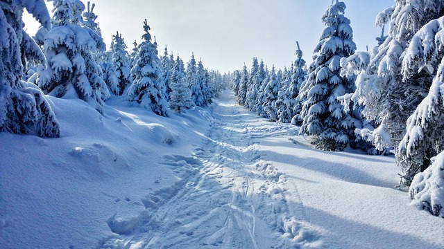 Image by Bartek Ulatowski from Pixabay