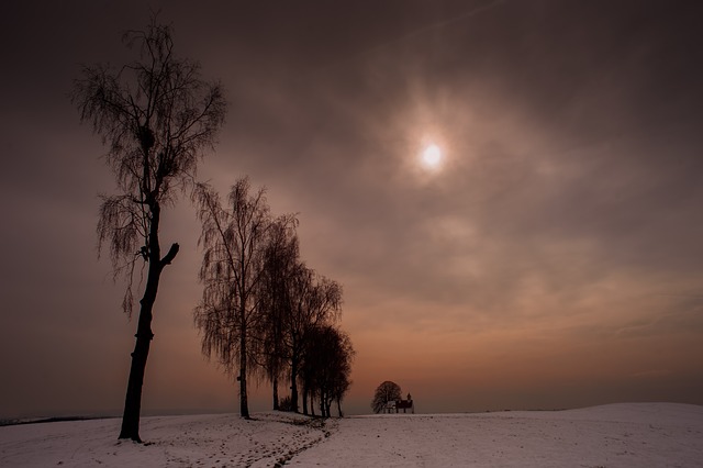 Image by Lars_Nissen_Photoart from Pixabay