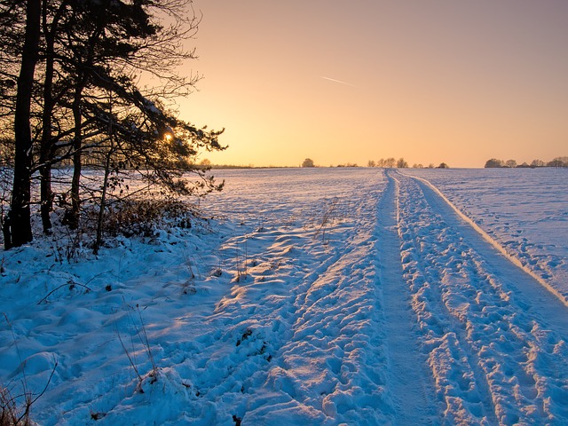 Image by Norbert Pietsch from Pixabay