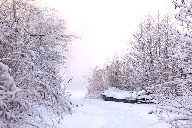 Image by Ina Hoekstra from Pixabay