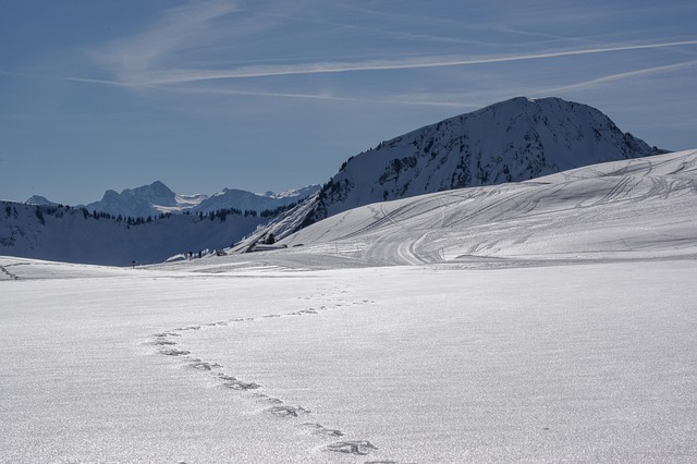 Image by Julia Schwab from Pixabay