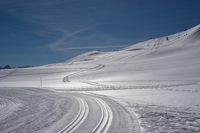 Image by Julia Schwab from Pixabay