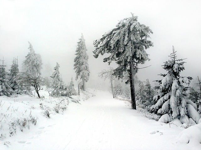 Image by nile from Pixabay