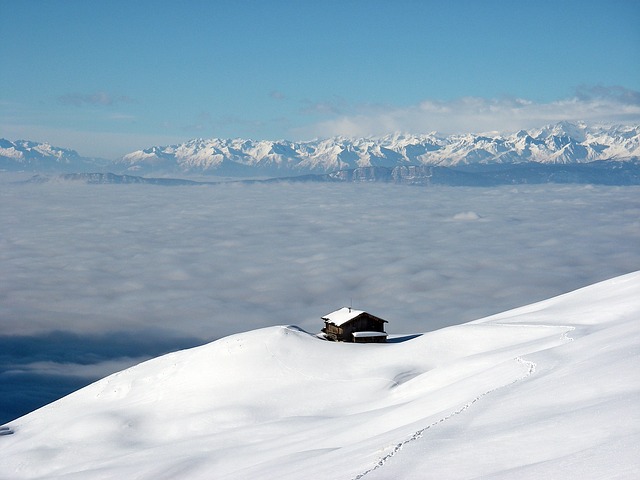 Image by pixmartin from Pixabay