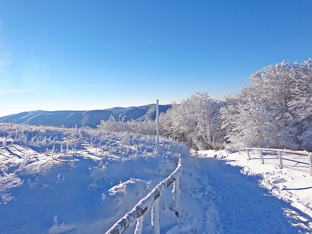 Image by Krzysztof Jaracz from Pixabay