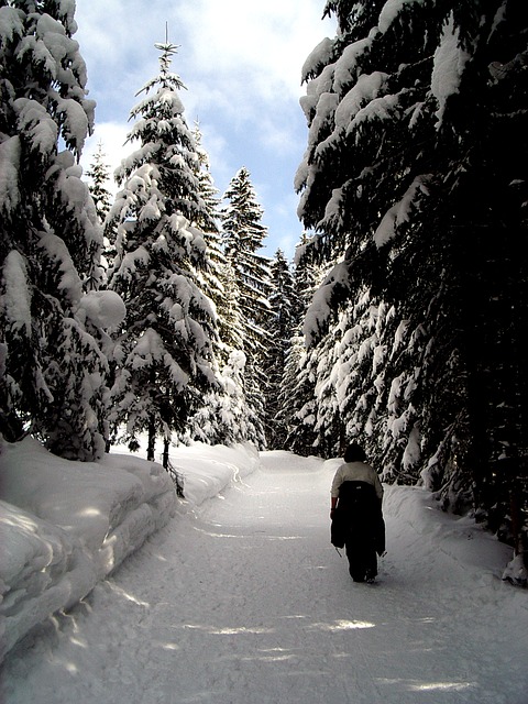 Image by K. H. J. / MCI from Pixabay