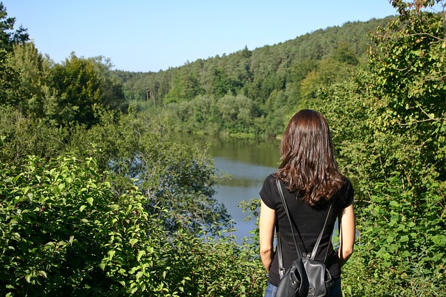 Image by Catkin from Pixabay