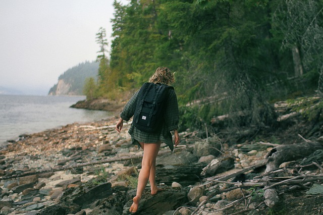 Image by Free-Photos from Pixabay