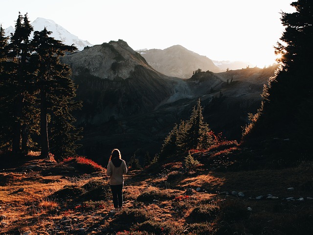 Image by Free-Photos from Pixabay