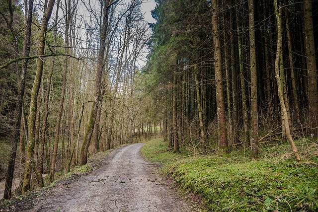 Image by Eddy Bildmacher from Pixabay