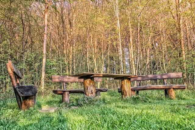 Image by analogicus from Pixabay
