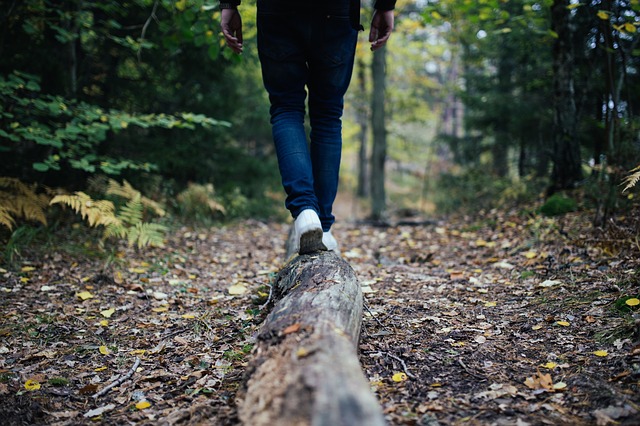 Image by Free-Photos from Pixabay