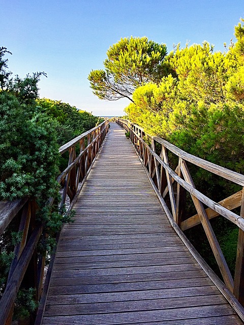 Image by Binja69 from Pixabay