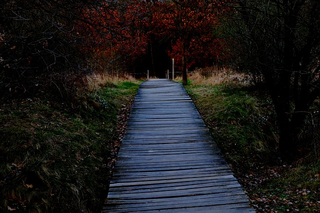 Image by Holger Schué from Pixabay
