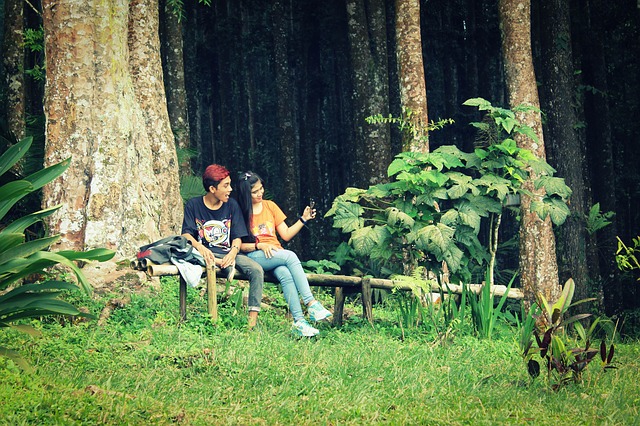 Image by Belajati Raihan Fahrizi from Pixabay
